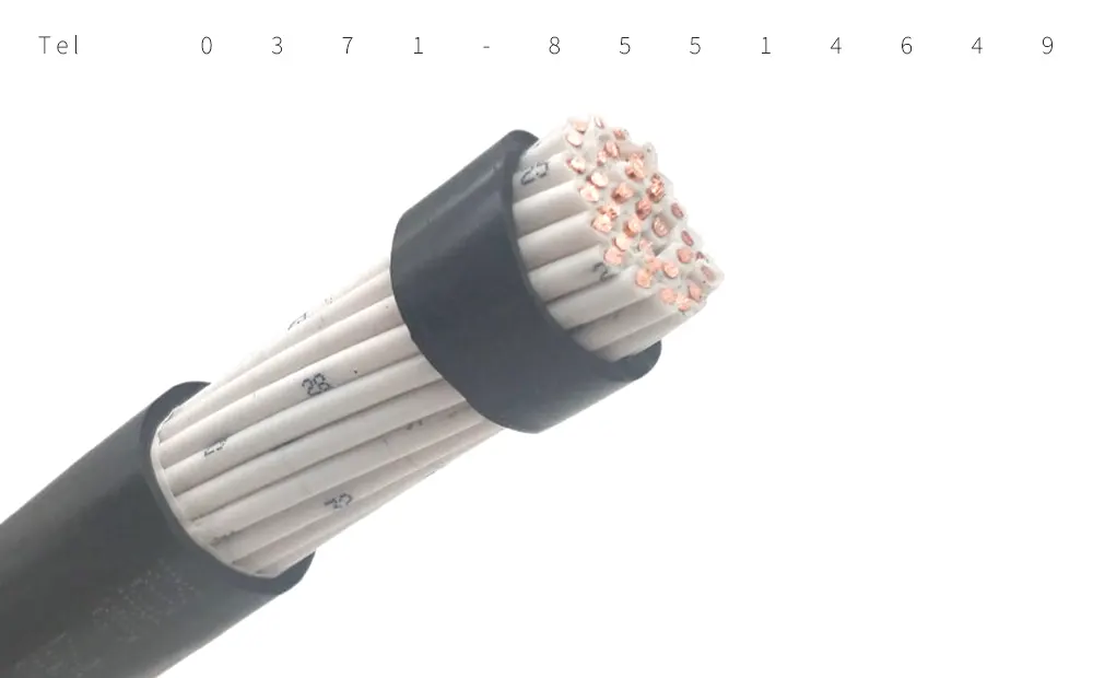 什么是 RYYP 控制电缆？